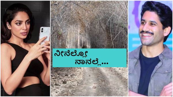 ಶೋಭಿತಾ ಜೊತೆ ನಾಗ ಚೈತನ್ಯ ಕಾಡು-ಮೇಡು ಪ್ರವಾಸ ; ಮತ್ತೊಮ್ಮೆ ತಗ್ಲಾಕೊಂಡ ಸಮಂತಾ ಮಾಜಿ ಗಂಡ..?