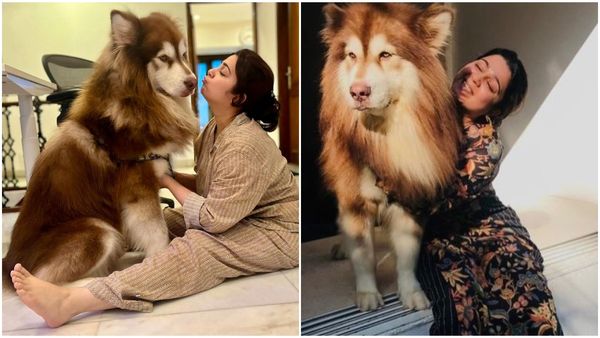 ಅಬ್ಬಬ್ಬಾ.. ಇದೇನ್ ನಾಯಿನಾ ಸಿಂಹನಾ? ಯಾವ್ ತಳಿ? ಚಾರ್ಮಿ ಮುದ್ದಿನ ಸಂಗಾತಿ ಹೆಸರೇನು?