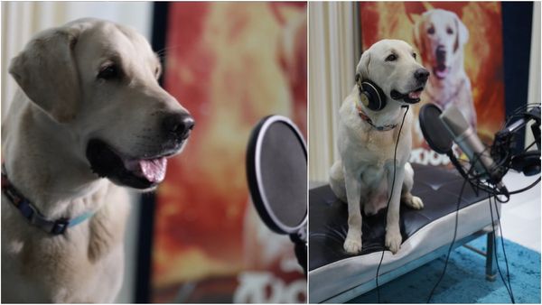 'ನಾನು ಮತ್ತು ಗುಂಡ 2' ಡಬ್ಬಿಂಗ್‌ಗೆ ಇಳಿದ ಸಿಂಬ; ಡಾಗ್ ಪ್ರೇಮಿಗಳಿಗೆ ಬರ್ತಿದೆ ಮತ್ತೊಂದು ಸಿನಿಮಾ