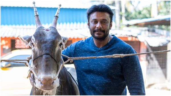 ತೆಲುಗು ಬ್ಯಾನರ್‌ನಲ್ಲಿ ದರ್ಶನ್ ಸಿನಿಮಾ; ಎಲ್ಲಾ ಗೊಂದಲಕ್ಕೆ ಕೊನೆಗೂ ಸಿಕ್ತು ಸ್ಪಷ್ಟನೆ