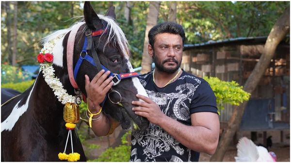 ನಟ ದರ್ಶನ್ ಹೊಸ ದಾಖಲೆ; ಅಭಿಮಾನಿಗಳ ಸಂಭ್ರಮಾಚರಣೆ