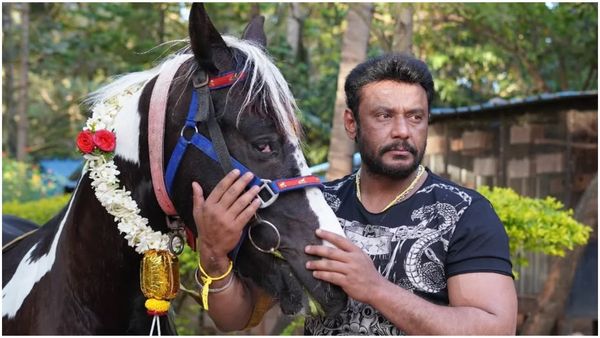 ಈ ವರ್ಷ ನಟ ದರ್ಶನ್ ಹುಟ್ಟುಹಬ್ಬಕ್ಕೆ ಭಾರೀ ಸರ್‌ಪ್ರೈಸ್‌?