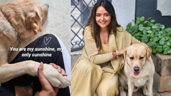 'ಅಣ್ಣಯ್ಯ'ನ ಅರಗಿಣಿ ನಿಶಾ ರವಿಕೃಷ್ಣ ಶ್ವಾನ ಪ್ರಿಯೆ; ಇವರು ಸಾಕಿರುವ ನಾಯಿ ಯಾವುದು ಗೊತ್ತೆ?