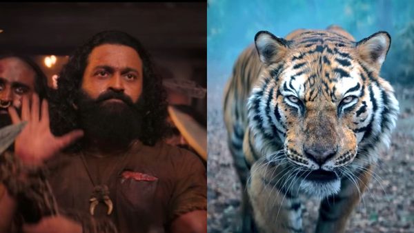 ಭಾನುವಾರ 'ಕಾಂತಾರ-1' ಕರಾಮತ್ತು; ಬುಕ್‌ಮೈ ಶೋನಲ್ಲಿ 11 ದಿನಕ್ಕೆ ಬುಕ್ ಆದ ಟಿಕೆಟ್ ಎಷ್ಟು? ಹಿಂದಿ ವರ್ಷನ್ ಕಥೆಯೇನು?