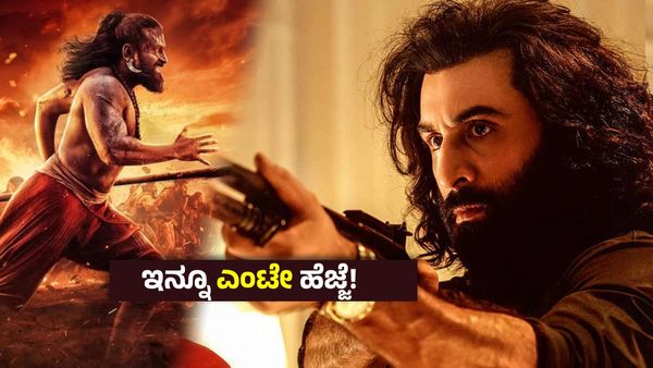 ಅದ್ಭುತ, ಅದ್ವಿತೀಯ, ಅತ್ಯಮೋಘ : 'ಕಾಂತಾರ' ಅಬ್ಬರ - ರಶ್ಮಿಕಾ ಮಂದಣ್ಣ, ರಣ್ಬೀರ್ ಕಪೂರ್ 'ಅನಿಮಲ್' ದಾಖಲೆ ಪುಡಿಪುಡಿ