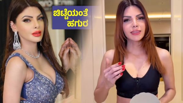 ಕೆಟ್ಟ ಮೇಲೆ ಬುದ್ಧಿ ಬಂತು ; ಎದೆಯ ಮೇಲಿದ್ದ 825 ಗ್ರಾಂ 'ಪ್ಲಾಸ್ಟಿಕ್' ಭಾರ ಇಳಿಸಿದ ಶೆರ್ಲಿನ್​ ಚೋಪ್ರಾ