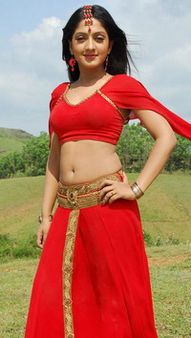 ഗ്ലാമറിന്റെ പാതയില്‍ ഷീലയും