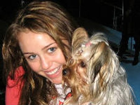 മിലേ സൈറസ് പുതിയ കാമുകനെ തേടുന്നു