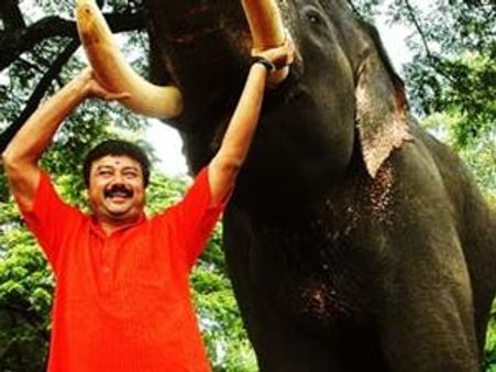 തമ്പാനെതിരെ ആനപ്രേമികള്‍