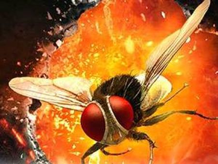 മൂന്ന് ദിവസം:ഈച്ച റാഞ്ചിയത് 42 കോടി രൂപ!!