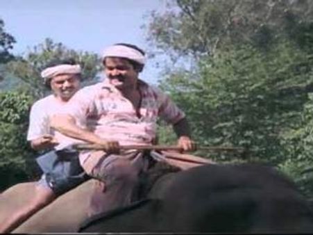 ആനയും മോഹന്‍ലാലും-ചേരാത്ത കോമ്പിനേഷന്‍