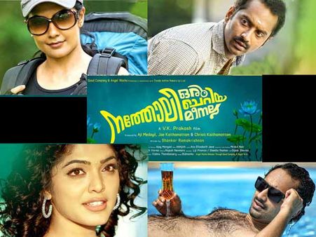 നത്തോലി ജാഡയുള്ള മീന്‍