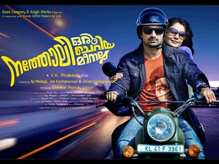 നത്തോലി ചെറിയ മീന്‍ തന്നെ