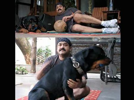 താരങ്ങളുടെ നായപ്രേമം