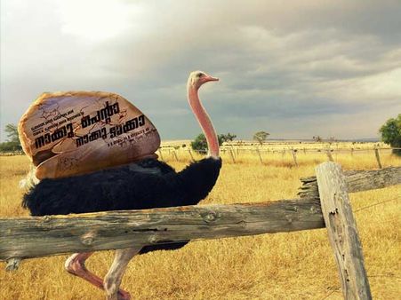 കെനിയയില്‍ ഇന്ദ്രജിത്തും ഭാമയും സുരക്ഷിതര്‍