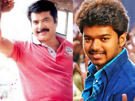 മമ്മൂട്ടിയ്‌ക്കൊപ്പം അഭിനയിക്കുന്നില്ല: വിജയ്