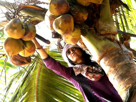 മംമ്ത മോഹന്‍ദാസ് തെങ്ങില്‍ക്കയറും, തേങ്ങയിടും!
