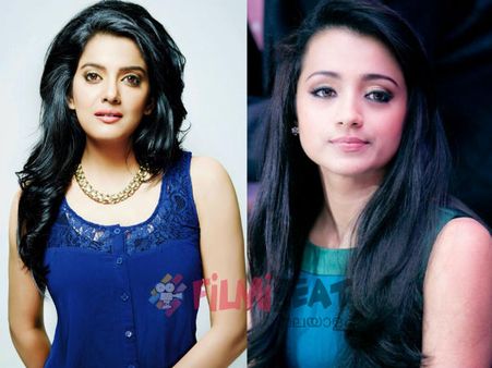 വിശാഖ കരുത്തുള്ള പെണ്ണ്; ആരാധകന്റെ നാവടക്കിയ നടിക്ക് തൃഷയുടെ പ്രശംസ