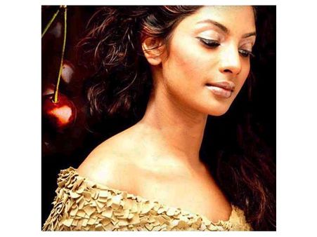 എനിക്കാരെയും ഒന്നും ബോധിപ്പിക്കാനില്ല, സിനിമയിലേക്ക് ഞാന്‍ തിരിച്ചു വരുന്നു; ശ്രിയ റെഡ്ഡി