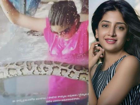 പെരുമ്പാമ്പിനൊപ്പം വെള്ളത്തില്‍ നടി പൂനം കൗര്‍; കണ്ണടയ്ക്കാതെ ഈ വീഡിയോ കാണൂ