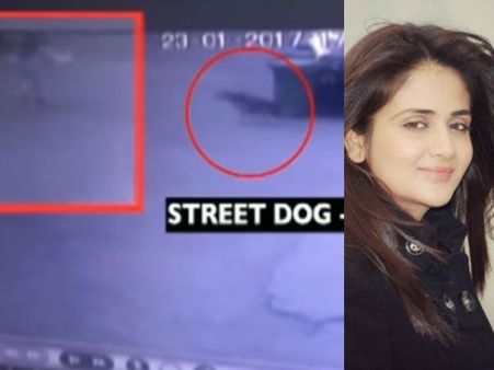 ഒന്നും രണ്ടുമല്ല, നാല് തെരുവു നായ്ക്കളാണ് പൃഥ്വിരാജിന്റെ നായികയെ കടിച്ചു കീറിയത്; വീഡിയോ കാണൂ