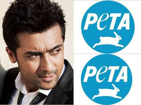 ആളാരാണെന്നറിയാതെ വിമര്‍ശിച്ചാല്‍ ഇങ്ങനിരിക്കും, സൂര്യയുടെ മുന്നില്‍ മുട്ടുമടക്കി 'പെറ്റ'