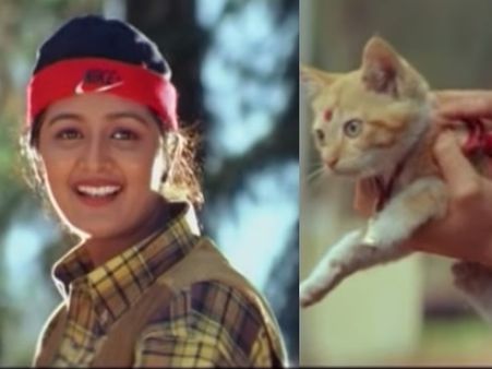 സമ്മര്‍ ഇന്‍ ബെത്‌ലഹേമില്‍ പൂച്ചയെ അയച്ച കാമുകി മഞ്ജു വാര്യരായിരുന്നു! കണ്ടുപിടിച്ചത് സോഷ്യല്‍ മീഡിയ