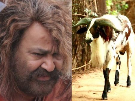 ശരിക്കും പുലി അതല്ല ഇതാണ്! പുലിയ്ക്ക് ശേഷം ലാലേട്ടന്‍ അഭിനയിക്കുന്നത് മധുര മച്ചടയാനൊപ്പം! ആരാണിത്??