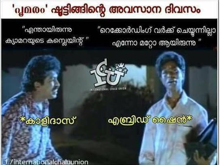 കാളിദാസിനെ ഒരു ട്രോളനാക്കിയത് ആരാണ്? പൂമരത്തെ കുറിച്ച് എന്ത് പറഞ്ഞാലും ട്രോളന്മാര്‍ വെറുതെ വിടില്ല