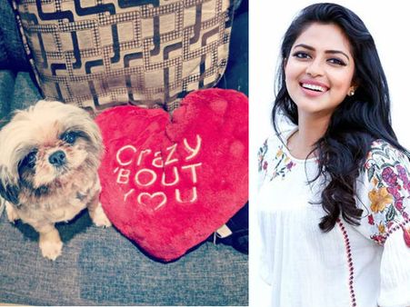 ഈ വര്‍ഷം അമല പോള്‍ പ്രണയദിനം ആഘോഷിച്ചത് ആര്‍ക്കൊപ്പമാണെന്ന് കണ്ടോ..?