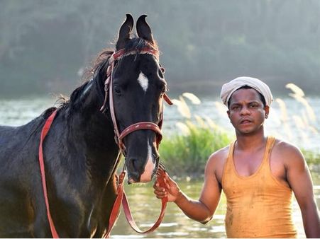ധര്‍മജനെ സരോജ് കുമാറാക്കി പിഷാരടി! ഉദയന്റെ ആദ്യ സിനിമയ്ക്ക് സരോജ് സര്‍ ഡേറ്റ് തന്നു!!