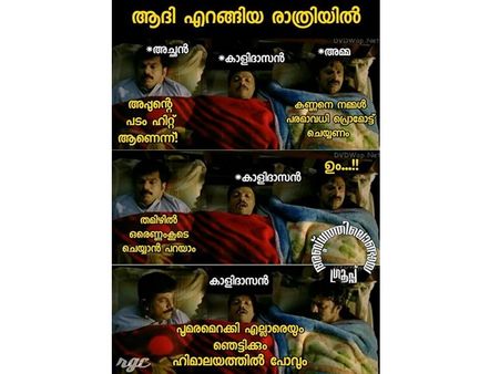 ഒരിക്കലും പൂക്കാത്ത മരത്തെപ്പോലെയാവുമോ കാളിദാസന്റെ പൂമരത്തിന്റെ റിലീസ്, ട്രോള്‍ ലോകം ആഘോഷത്തിലാണ്!