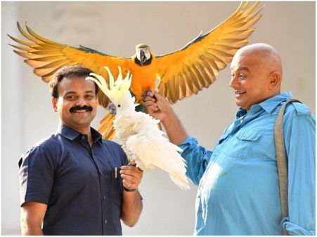 പഞ്ചവര്‍ണ്ണ തത്തയ്‌ക്കൊപ്പം ജയറാമും ചാക്കോച്ചനും: ഫസ്റ്റ് ലുക്ക് പോസ്റ്റര്‍ കാണാം