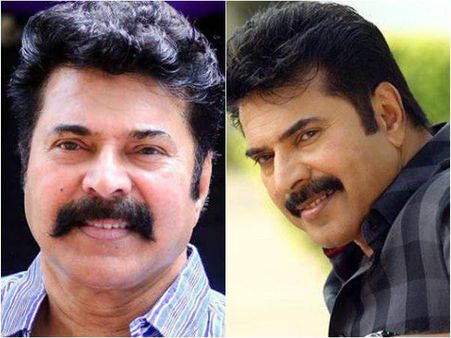 ഒരു മനുഷ്യൻ ഓടി വന്നു കാലിൽ വീണു! എന്നിട്ട് ഇങ്ങനെ പറഞ്ഞു... മറക്കാനാവത്ത സംഭവം പങ്കുവെച്ച് മമ്മൂക്ക