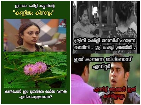 പേളി മാണിയുടെ പ്രണയം കണ്ടുപിടിച്ച് ബിഗ് ബോസിലെ പുതിയ ക്യാമറ!ട്രോള്‍ മഴയല്ല, ട്രോള്‍ കൊടുങ്കാറ്റാണ്