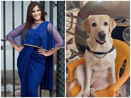 താന്‍ കണ്ടതില്‍ ഏറ്റവും പ്രൊഫഷണലായ സഹതാരത്തെ പരിചയപ്പെടുത്തി താരപുത്രി വരലക്ഷ്മി!!