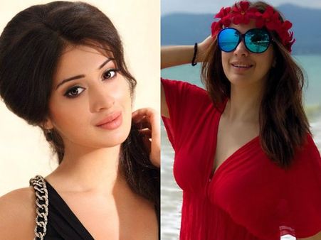 ഇതിലും മികച്ച മറുപടി ലഭിക്കാനില്ല! ബിക്കിനി ചിത്രത്തിന് കമന്‍റിട്ട ആരാധകനോട് റായ് ലക്ഷ്മി പറഞ്ഞത്?