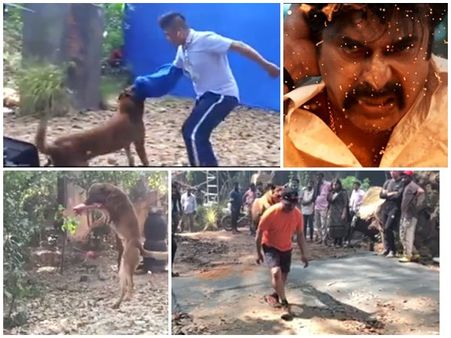 പുലിമുരുകനിലെ ആക്ഷൻ രംഗമല്ല മധുരരാജയിൽ!! നായയുമായുള്ള ആക്ഷൻ രംഗം പുറത്ത്, കാണൂ