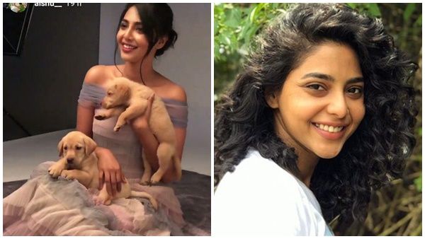 ഐശ്വര്യ ലക്ഷ്മിയ്ക്ക് നായ്ക്കുട്ടികളെ ഇത്രയും ഇഷ്ടമോ!! താരത്തിന്റെ ചിത്രങ്ങൾ വൈറലാകുന്നു..