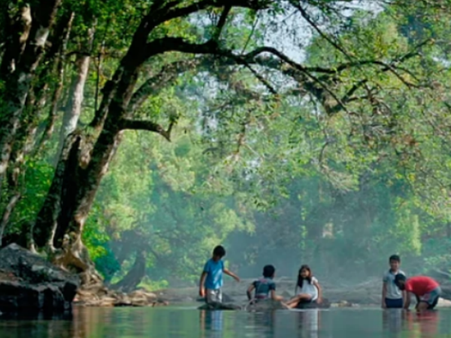 '' പ്രകൃതിയെ അറിയാൻ''!! ഇന്നത്തെ തലമുറക്കും വരാൻ പോകുന്ന തലമുറക്കും വേണ്ടി, ശ്രദ്ധയമായി ''ഏലേലോ''