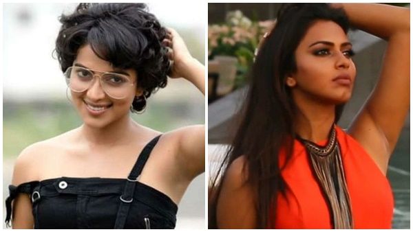 അന്ന് ശരീരത്തിന്റെ പല ഭാഗങ്ങളും മറച്ചത് മുടി കൊണ്ട്!! നീളമുള്ള തലമുടി മുറിച്ചതിനെ കുറിച്ച് അമല