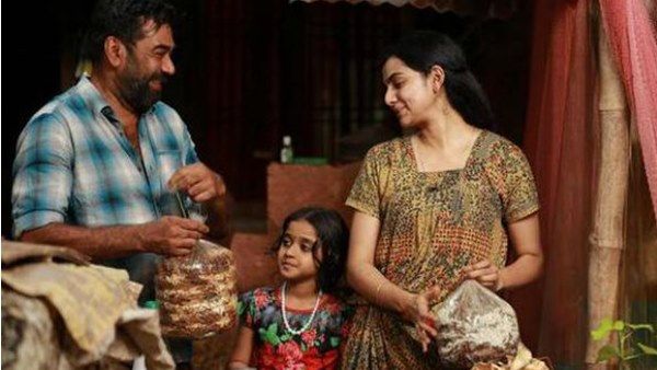 പകച്ച് പോയ നിമിഷങ്ങളില്‍ സഹായമായി ബിജു മേനോന്‍! മനസ് തുറന്ന് നടി സംവൃത സുനില്‍