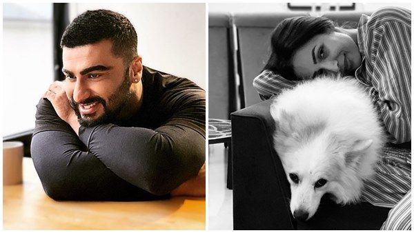 മലൈകയും അര്‍ജുനും ഒന്നിച്ച് തന്നെ! പരസ്പരം ഫോട്ടോഗ്രാഫര്‍മാരായി താരജോഡികള്‍, ചിത്രം വൈറല്‍