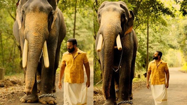 തൃശ്ശൂര്‍ പൂരത്തിനായി പുളള് ഗിരിയും ആനയും! ലൊക്കേഷന്‍ ചിത്രം പങ്കുവെച്ച് ജയസൂര്യ