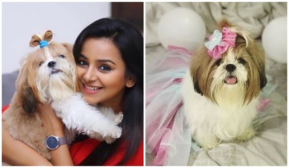 പിറന്നാൾ ദിനത്തിൽ സുന്ദരിയായി ശീശു! പട്ടിക്കുഞ്ഞിന്റെ പിറന്നാൾ ഗംഭീരമാക്കി നടി മൃദുല