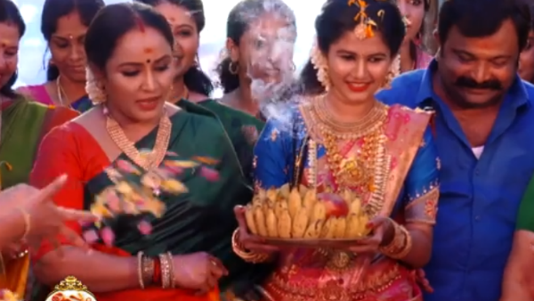 ലച്ചുവിനെ താലിചാര്‍ത്തി ഡെയ്ന്‍ ഡേവിസ്! ഉപ്പും മുളകിലെ മരുമകന്‍ താരം തന്നെ! വീഡിയോ വൈറല്‍!