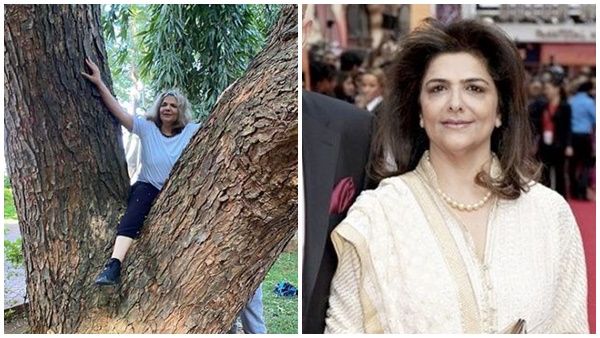 വയസ്സൊക്കെ എന്ത്, 65ാം വയസ്സിൽ മരം കയറി താരമാതാവ്, അഭിനന്ദനവുമായി മകൻ
