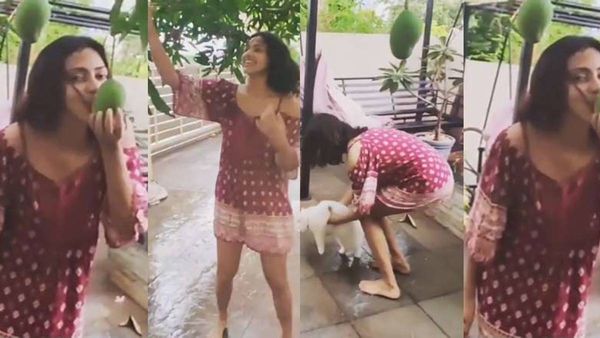 നിനക്ക് ഭ്രാന്തായോ അമലേ? മഴ പെയ്ത സന്തോഷത്തില്‍ തുള്ളിച്ചാടിയ അമല പോളിനോട് അമ്മയുടെ ചോദ്യം!
