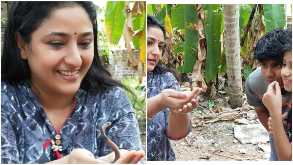 പാമ്പിനെ കൈവെളളയില്‍ വെച്ച് പ്രവീണ! അഭിനയം നിര്‍ത്തി പാമ്പ് പിടുത്തമായോ എന്ന് ആരാധകര്‍