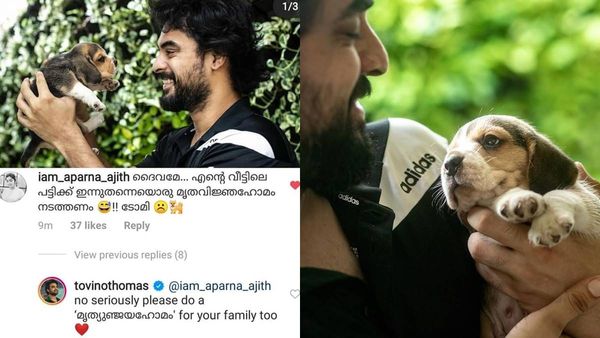 വീട്ടിലെ ഗപ്പി ചത്താലും കുറ്റം ടൊവിനോ തോമസിനാണ്! വിമര്‍ശകര്‍ക്കുള്ള മറുപടി ഇങ്ങനെ! കുറിപ്പ് വൈറല്‍